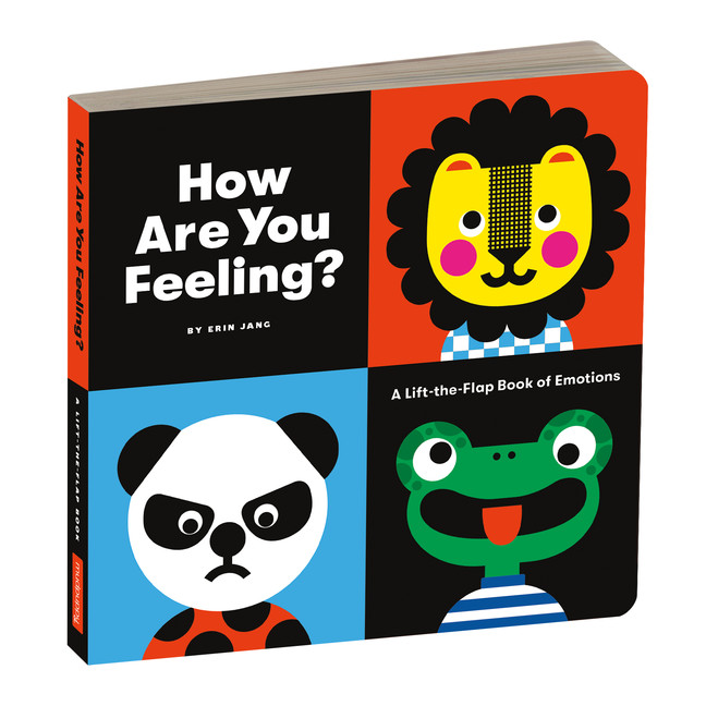 How Are You Feeling Board Book | 