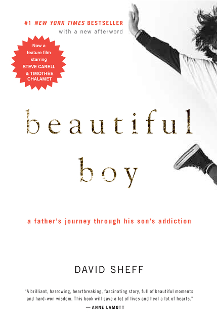 Beautiful Boy : A Father's Journey Through His Son's Addiction | Sheff, David