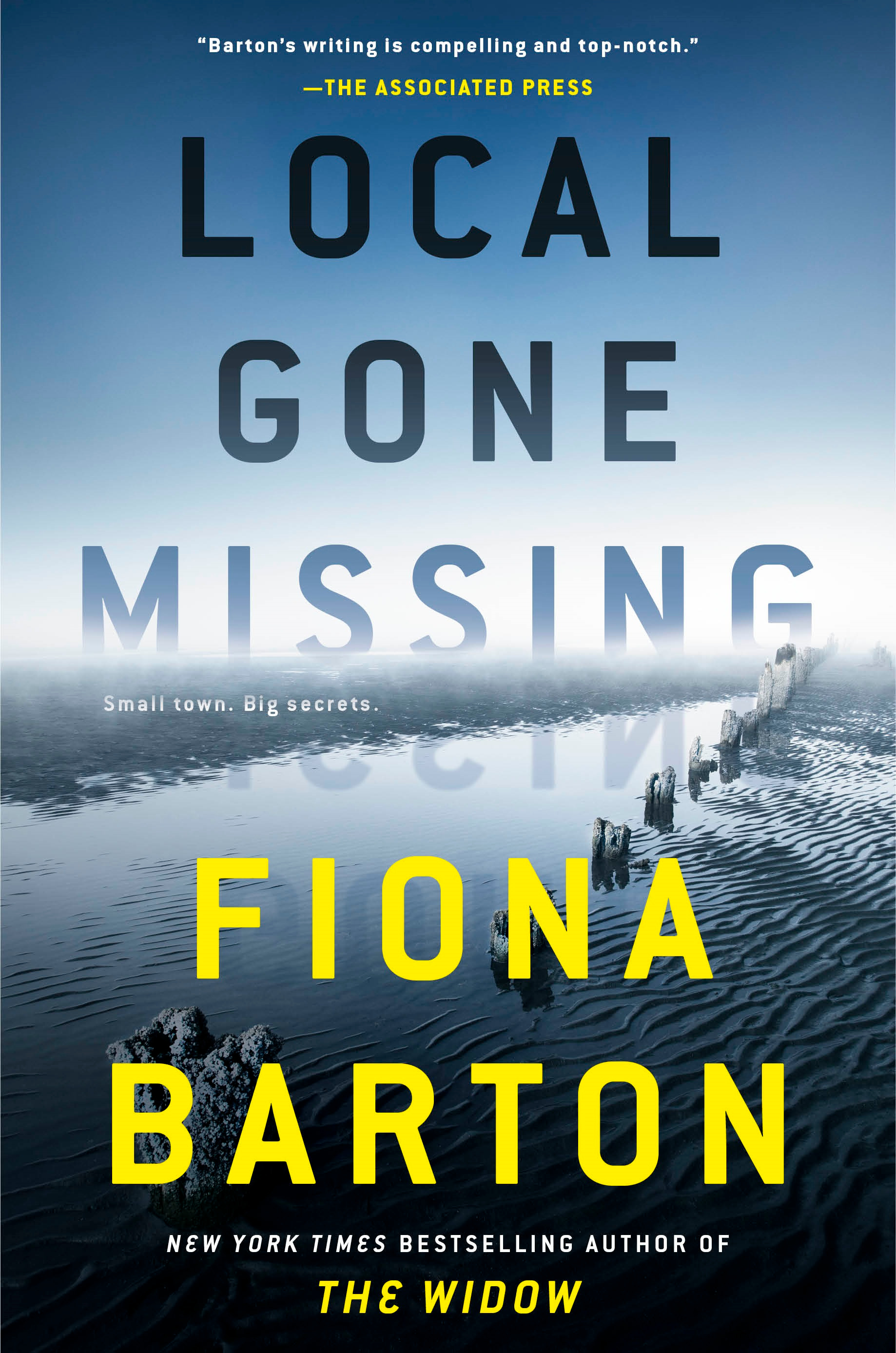 Local Gone Missing | Barton, Fiona