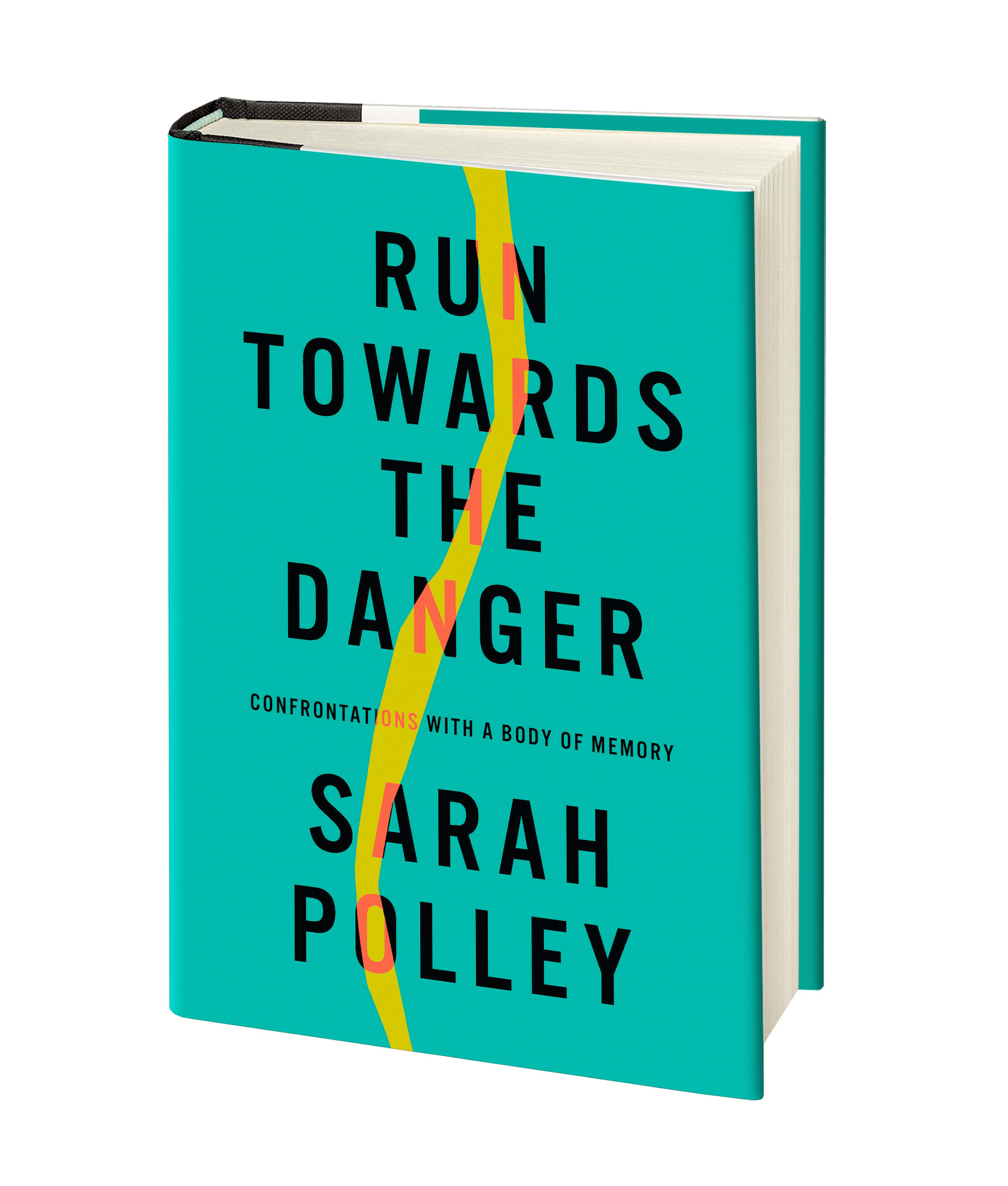 Run Towards the Danger : Confrontations with a Body of Memory | Polley, Sarah
