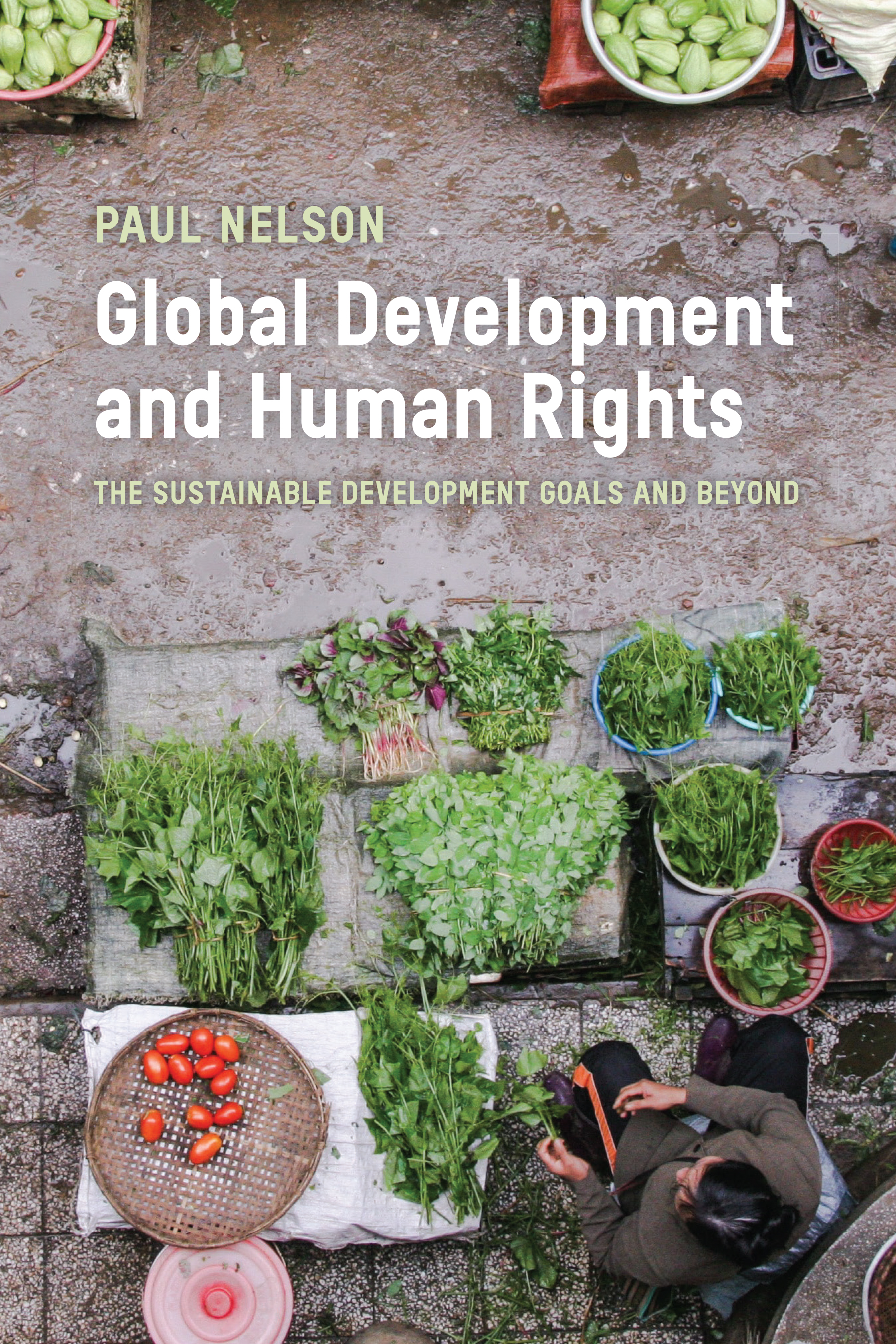 Global Development and Human Rights : The Sustainable Development Goals and Beyond | Nelson, Paul, J.