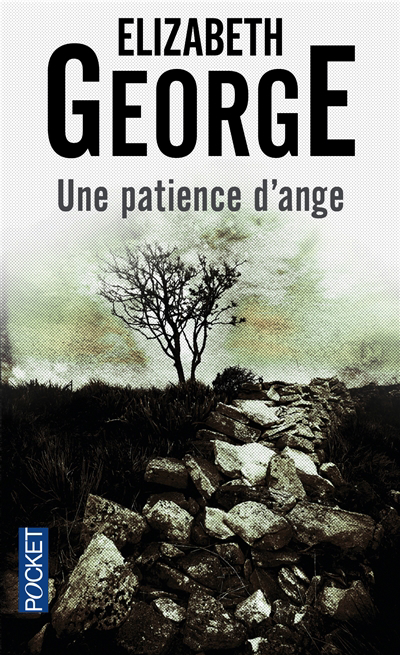 Une patience d'ange | George, Elizabeth