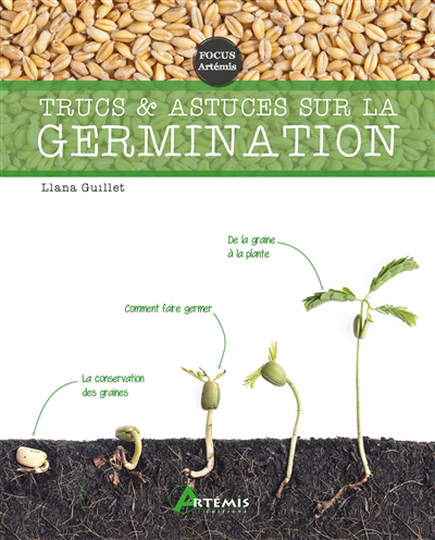 Trucs et astuces sur la germination | Guillet, Llana