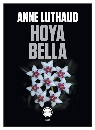 Hoya bella | Luthaud, Anne