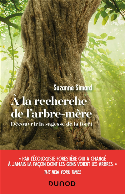 A la recherche de l'arbre-mère : découvrir la sagesse de la forêt | Simard, Suzanne