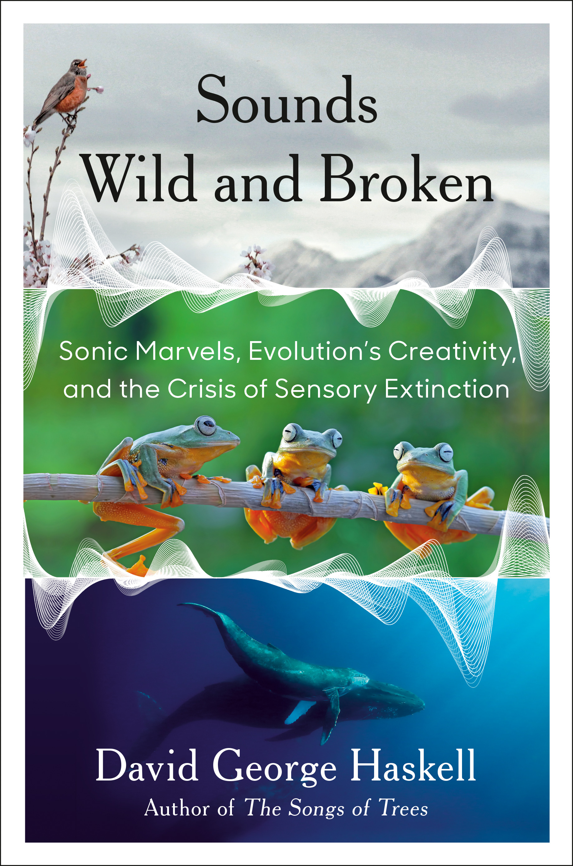 Sounds Wild and Broken : Sonic Marvels, Evolution's Creativity, and the Crisis of Sensory Extinction | Haskell, David George