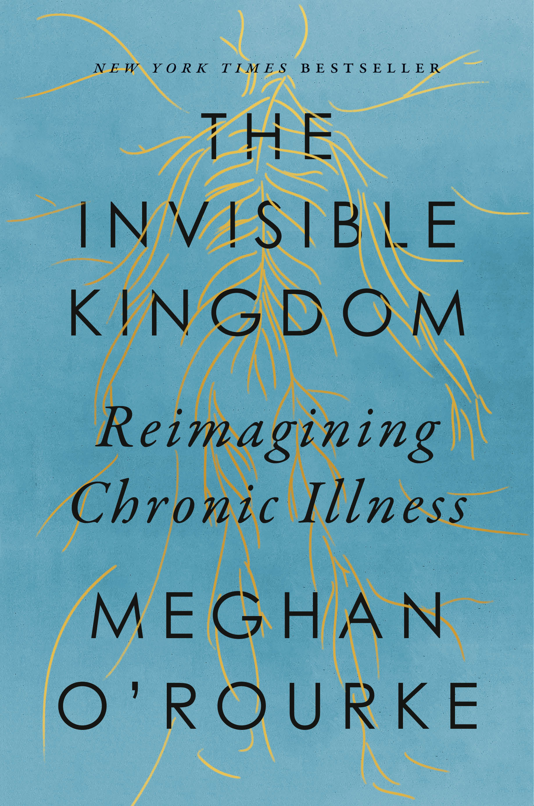 The Invisible Kingdom : Reimagining Chronic Illness | O'Rourke, Meghan