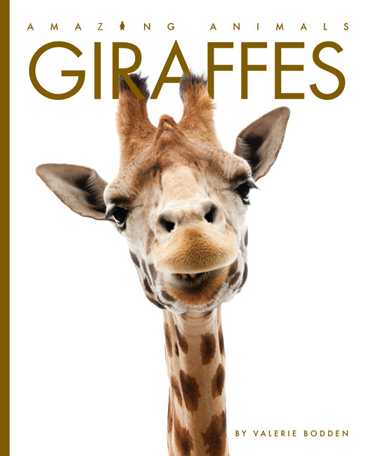 Giraffes | Bodden, Valerie