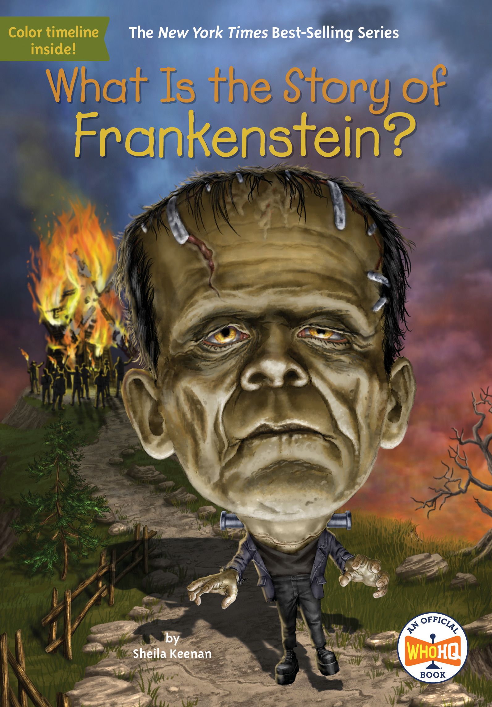 What Is the Story of Frankenstein? | Keenan, Sheila