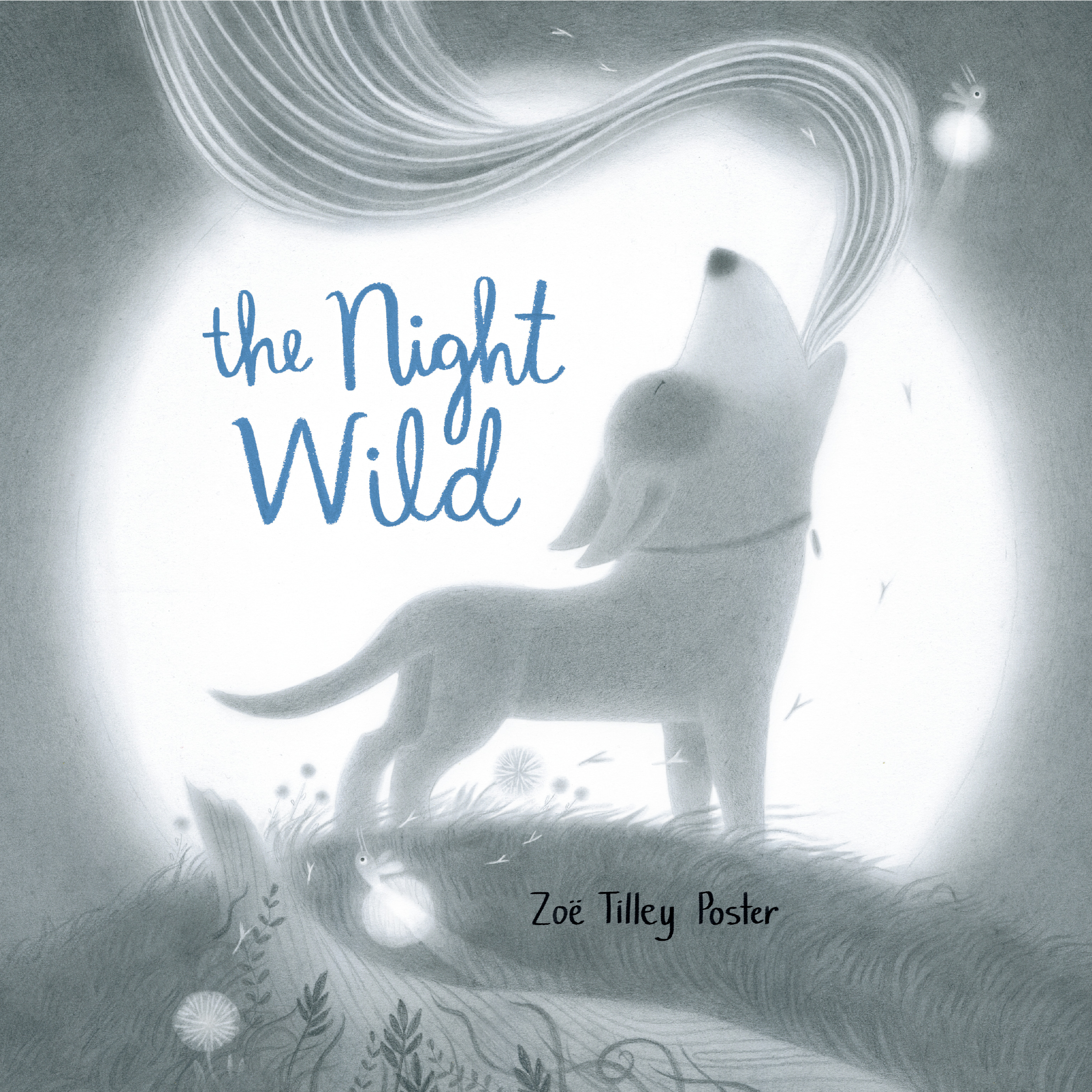 The Night Wild | Poster, Zoë Tilley
