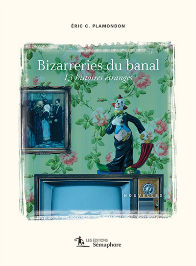 Bizarreries du banal : 13 histoires étranges | Plamondon, Éric C.