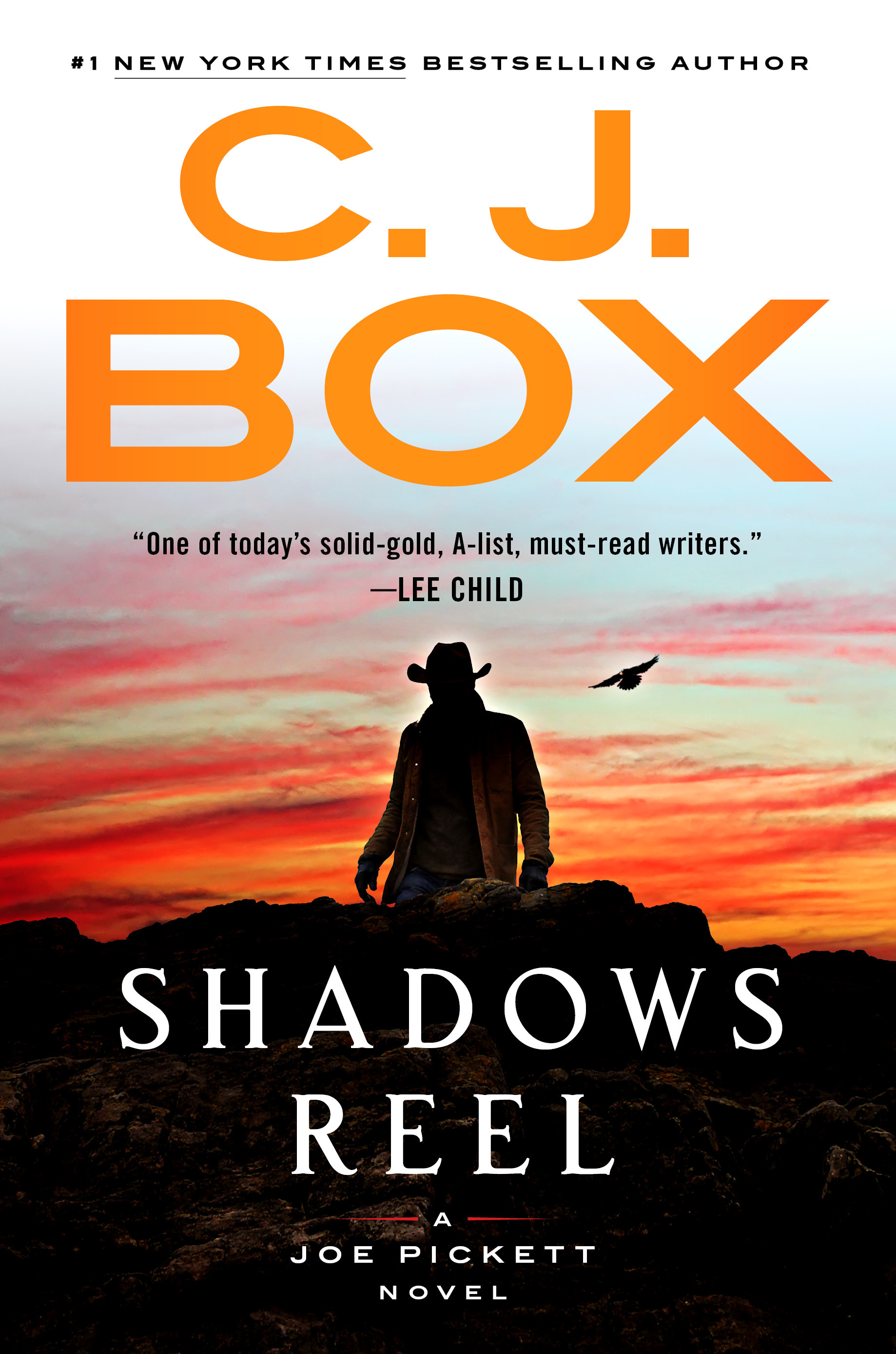 Shadows Reel | Box, C. J.