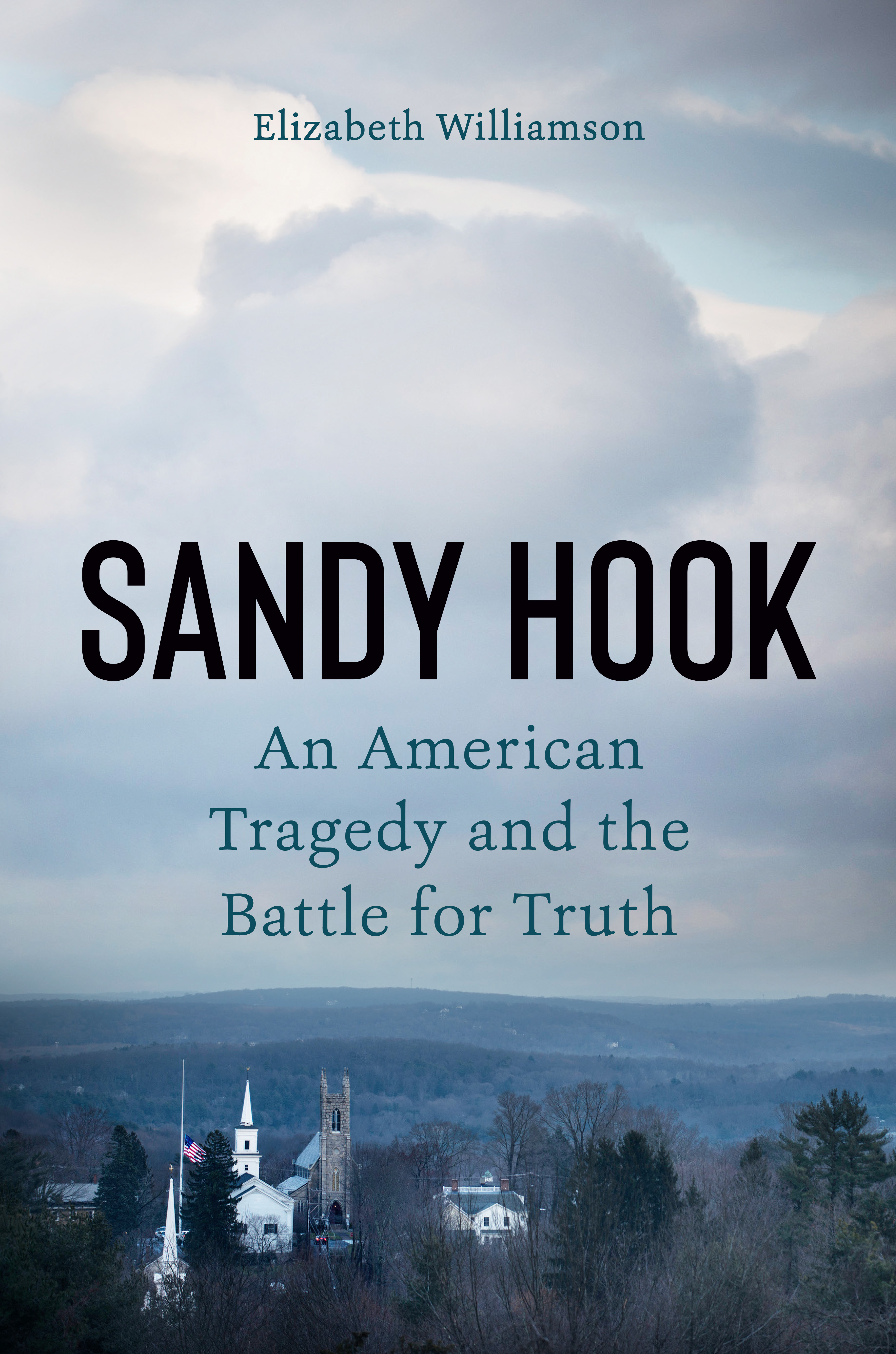 Sandy Hook : An American Tragedy and the Battle for Truth | Williamson, Elizabeth