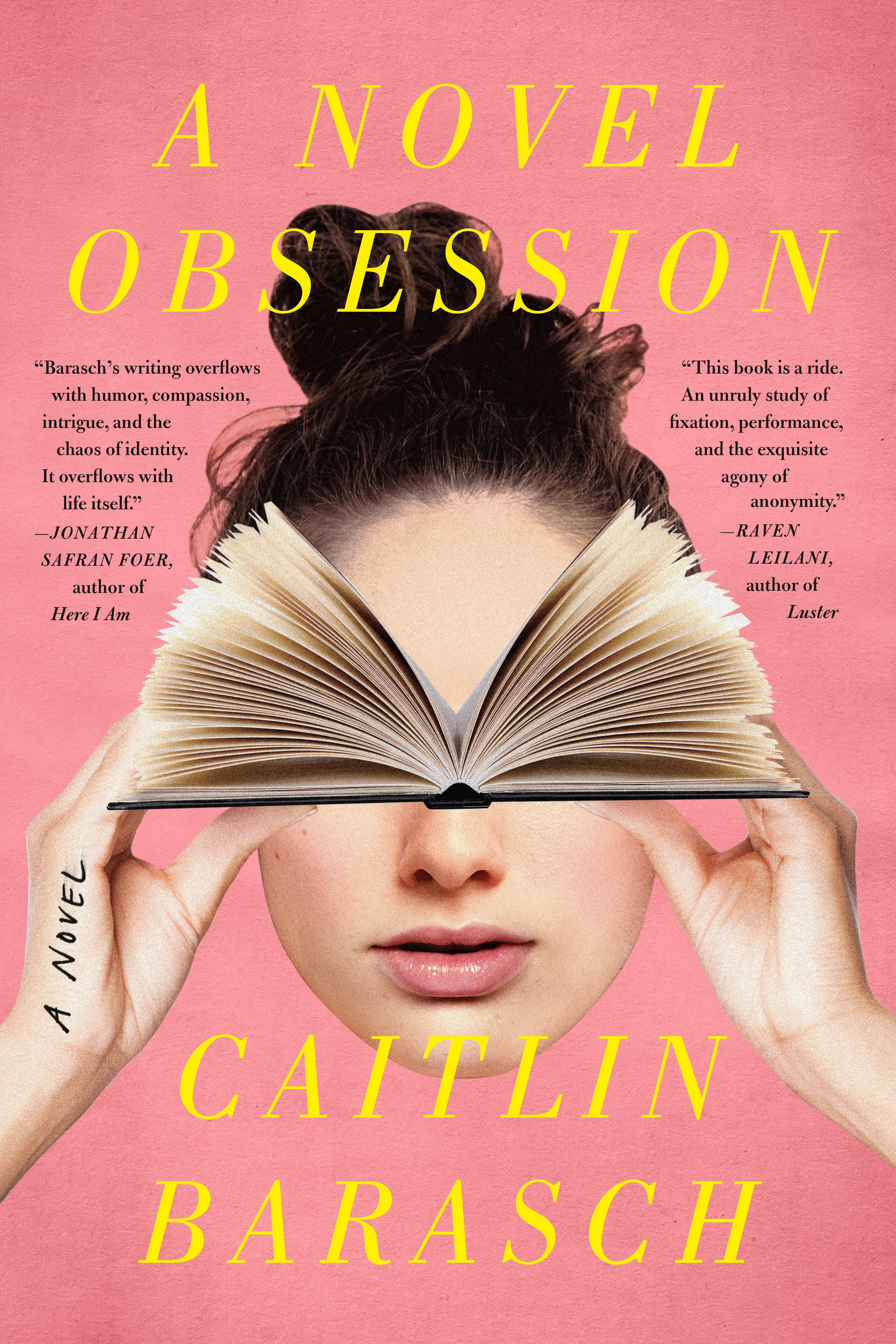A Novel Obsession : A Novel | Barasch, Caitlin
