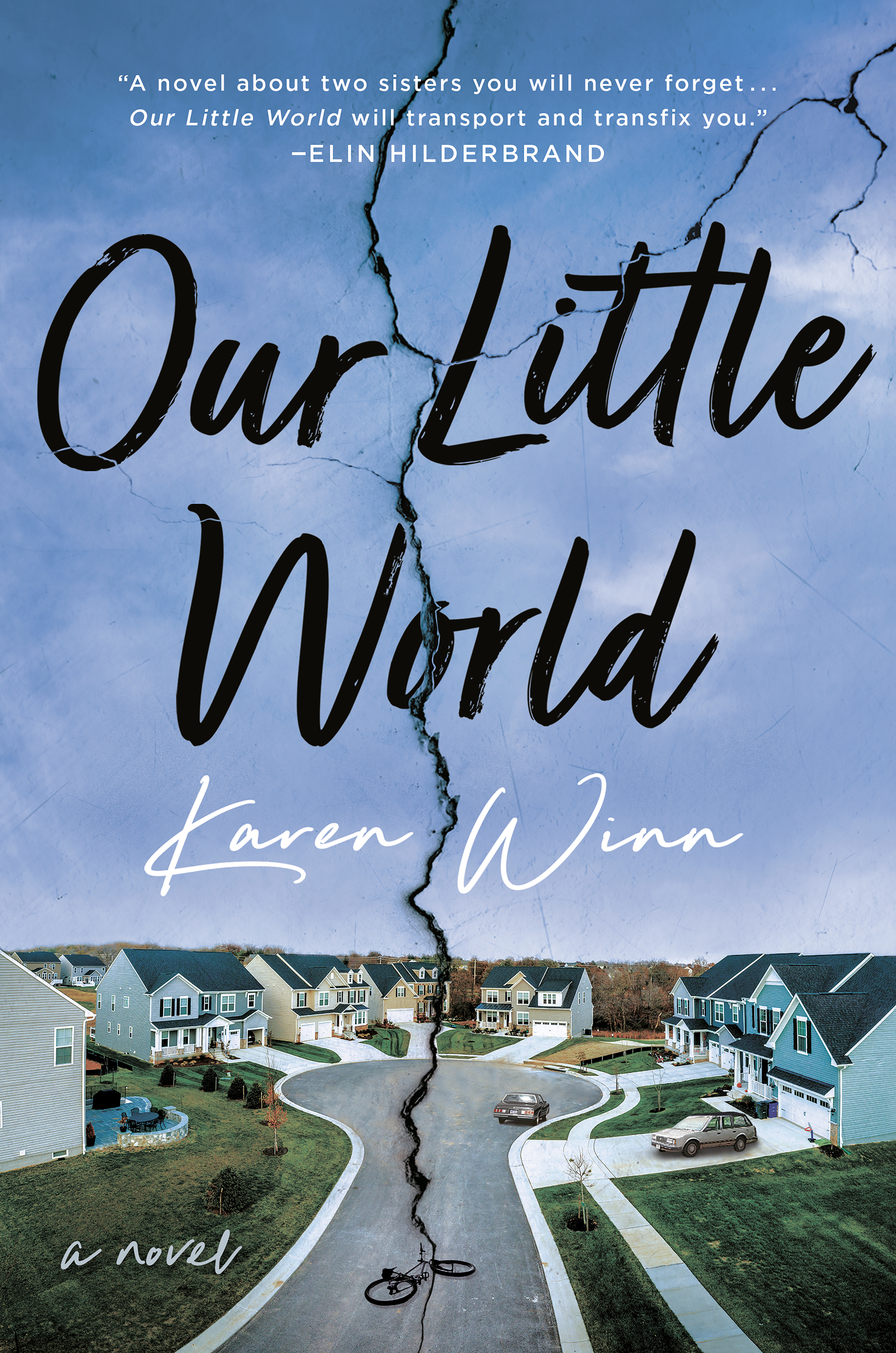 Our Little World : A Novel | Winn, Karen