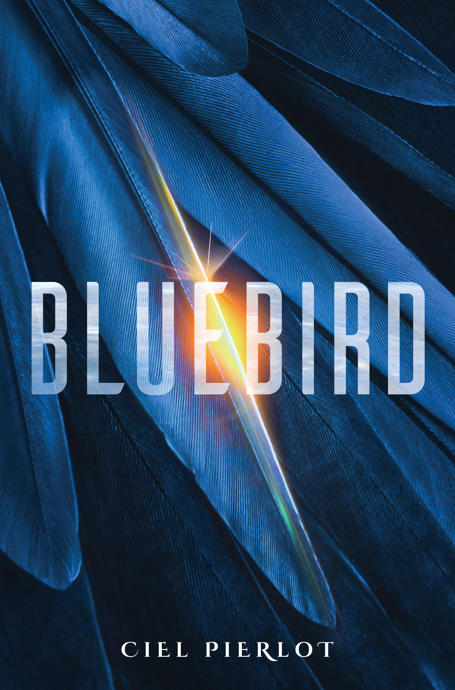 Bluebird | Pierlot, Ciel