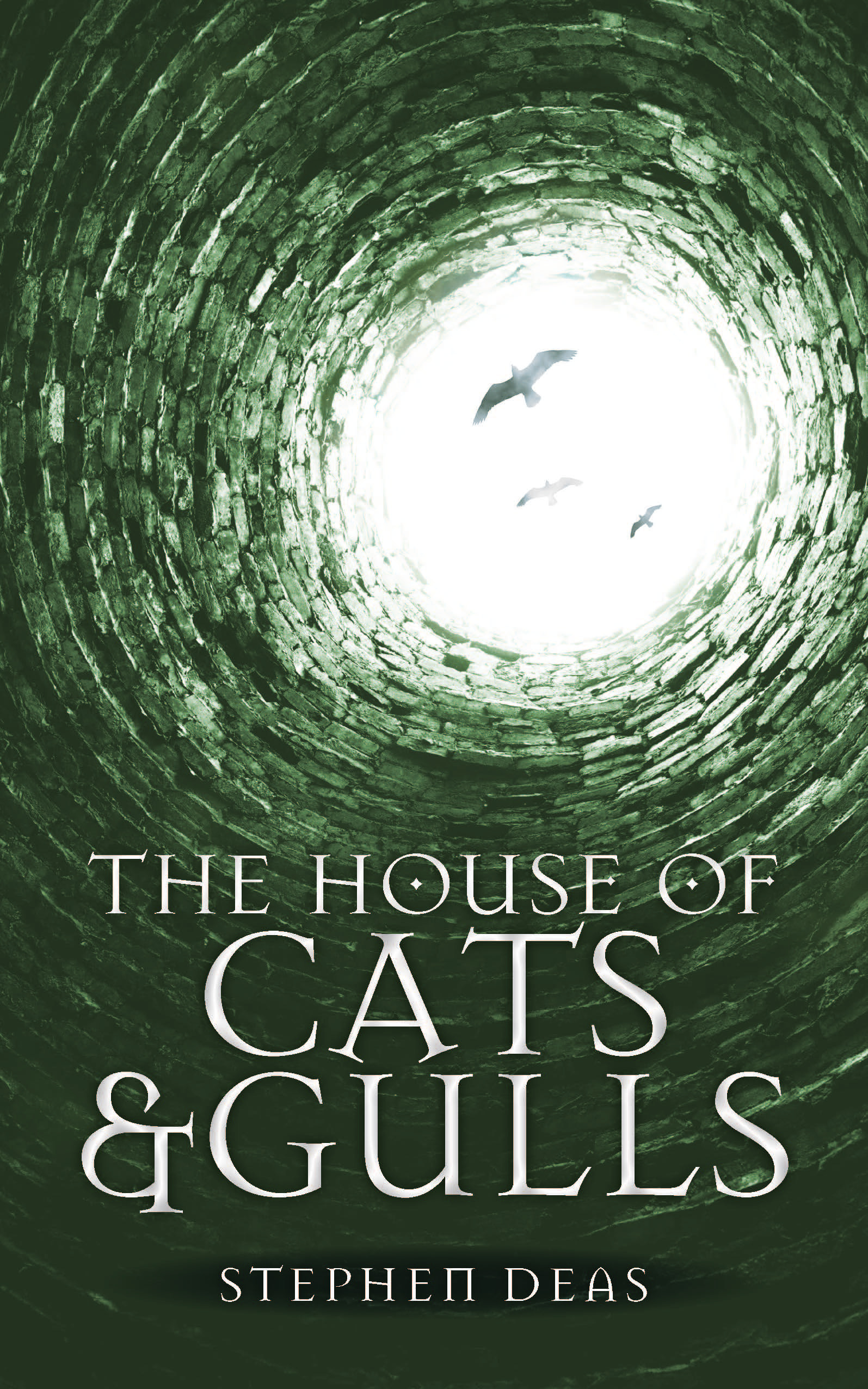 The House of Cats and Gulls | Deas, Stephen