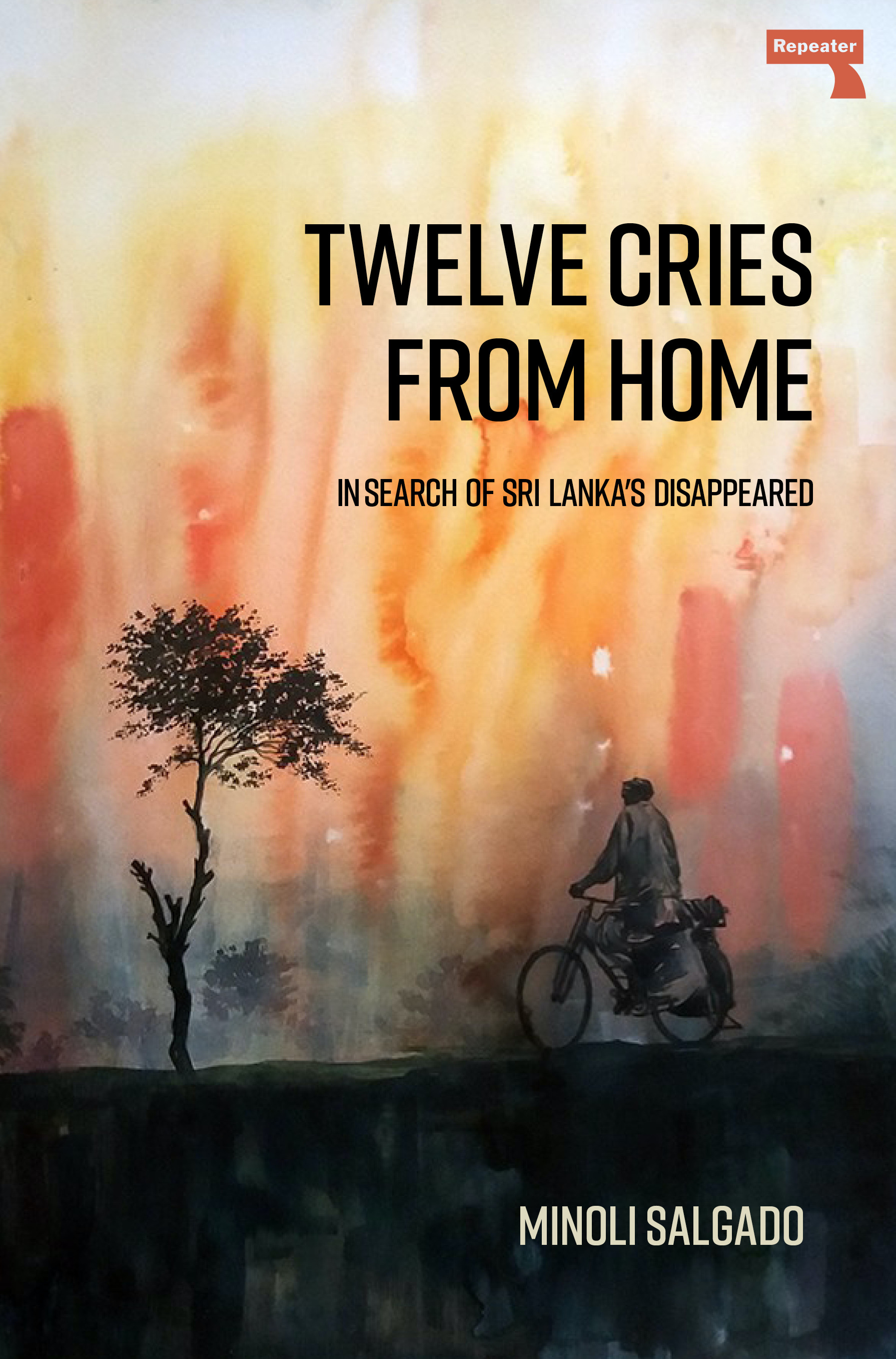 Twelve Cries From Home : In Search of Sri Lanka's Disappeared | Salgado, Minoli