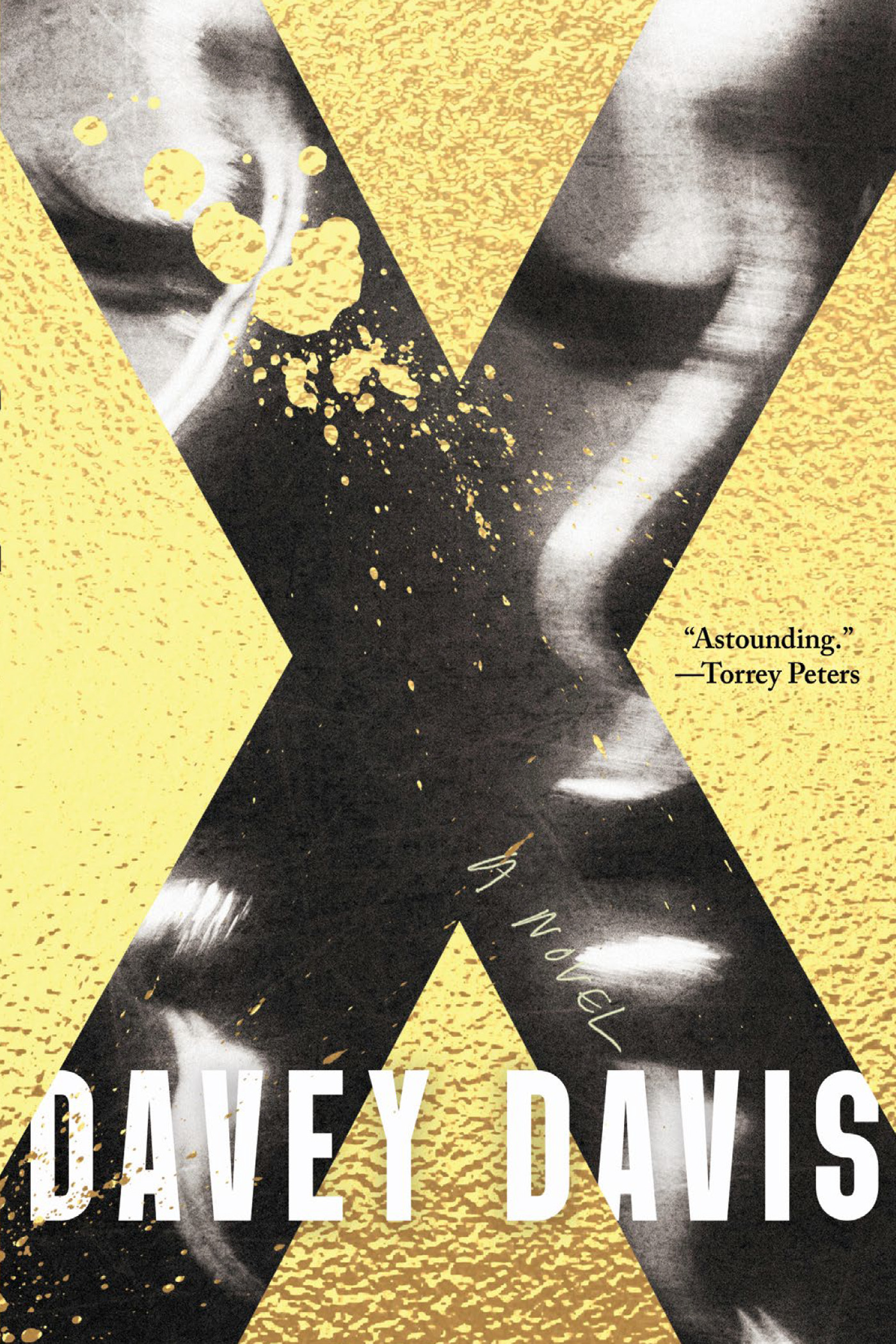 X : A Novel | Davis, Davey