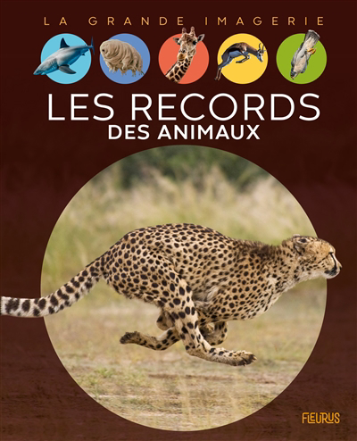 La grande imagerie - records des animaux (Les) | Franco, Cathy
