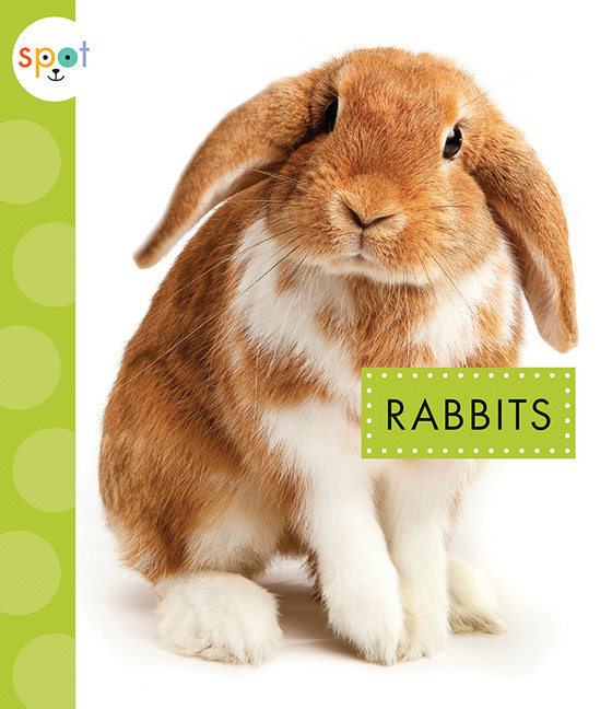 Rabbits | Schuh, Mari