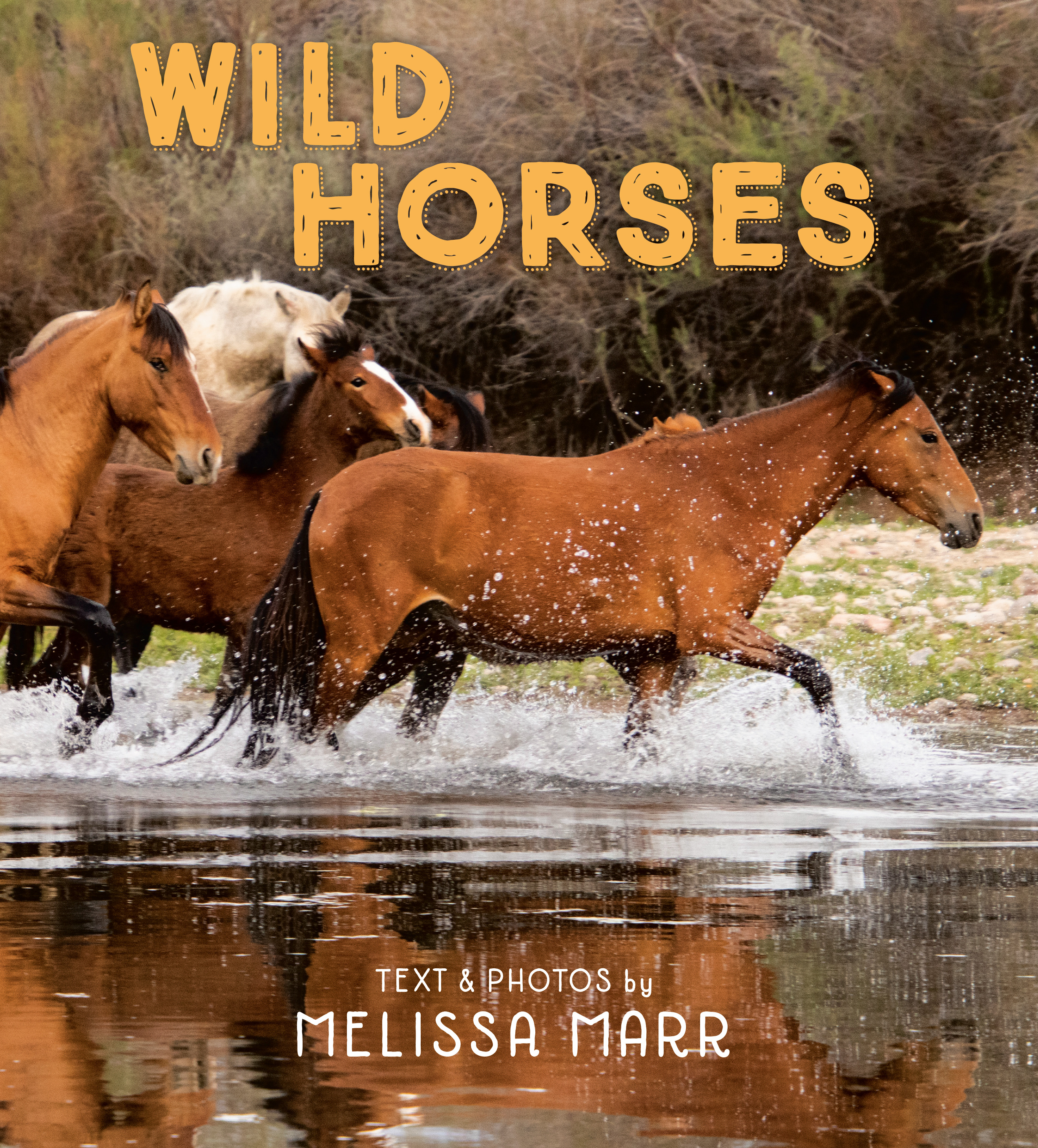 Wild Horses | Marr, Melissa
