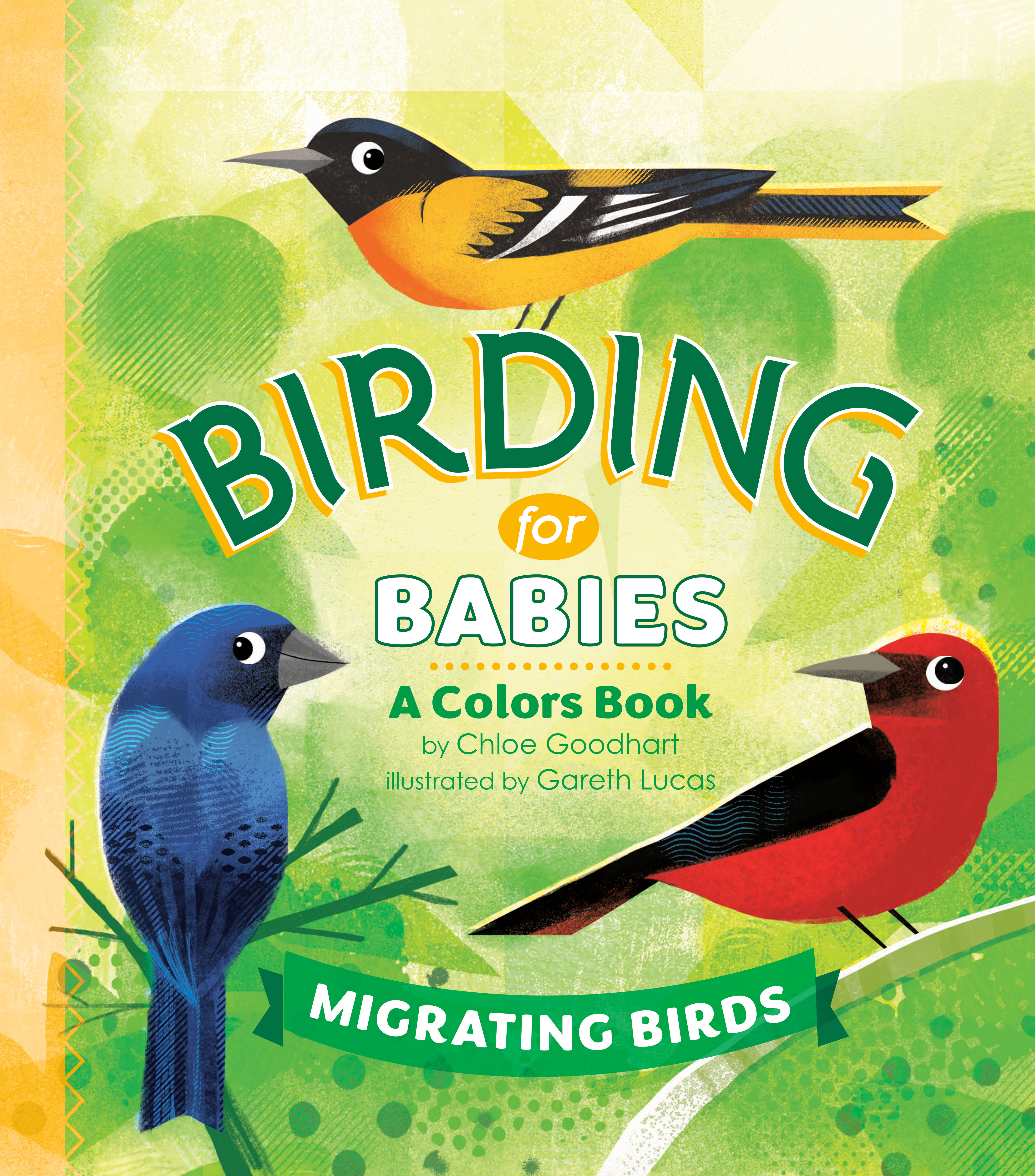 Birding for Babies: Migrating Birds : A Colors Book | Goodhart, Chloe