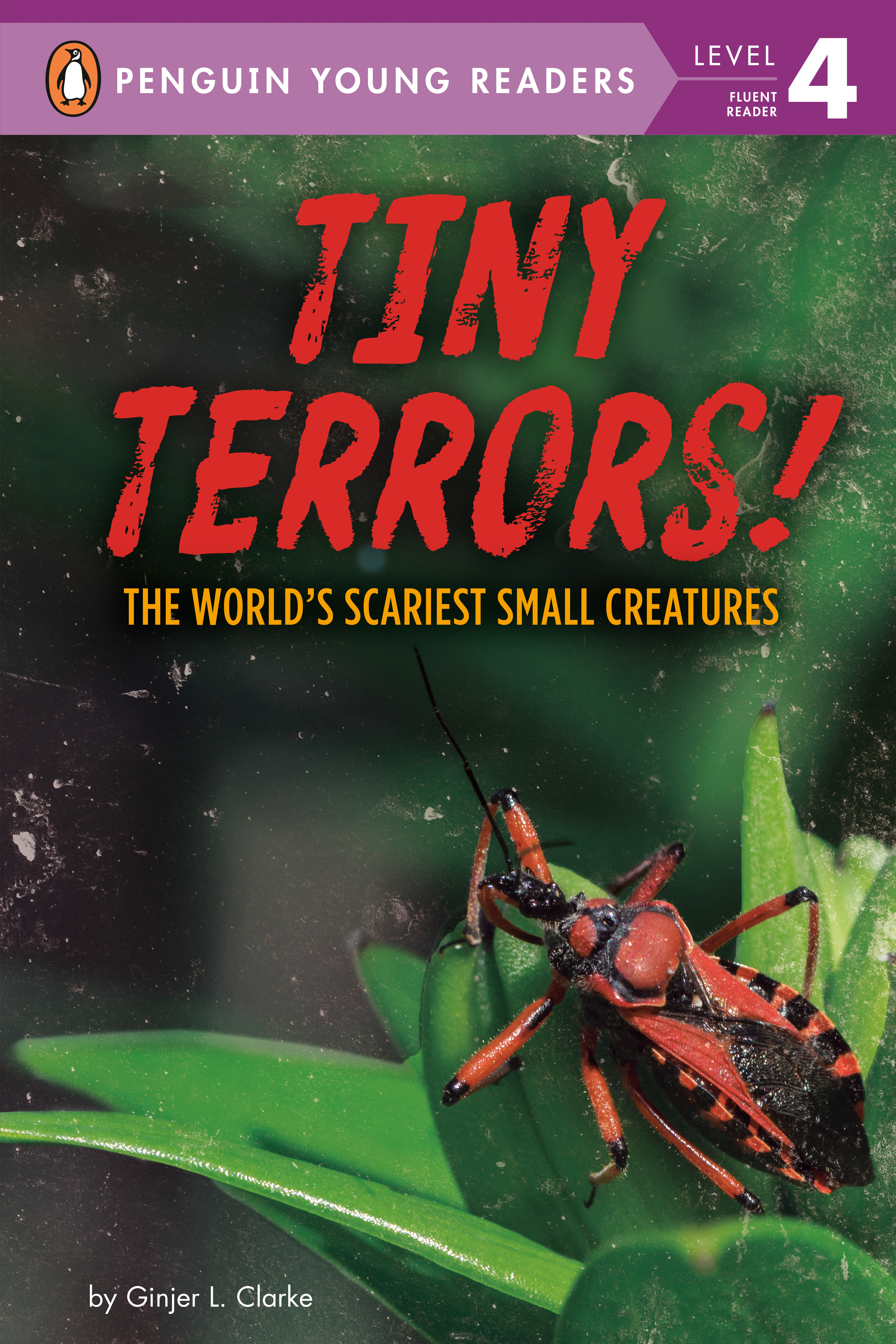 Tiny Terrors! : The World's Scariest Small Creatures | Clarke, Ginjer L.