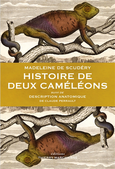 Histoire de deux caméléons ; Description anatomique | Scudéry, Madeleine