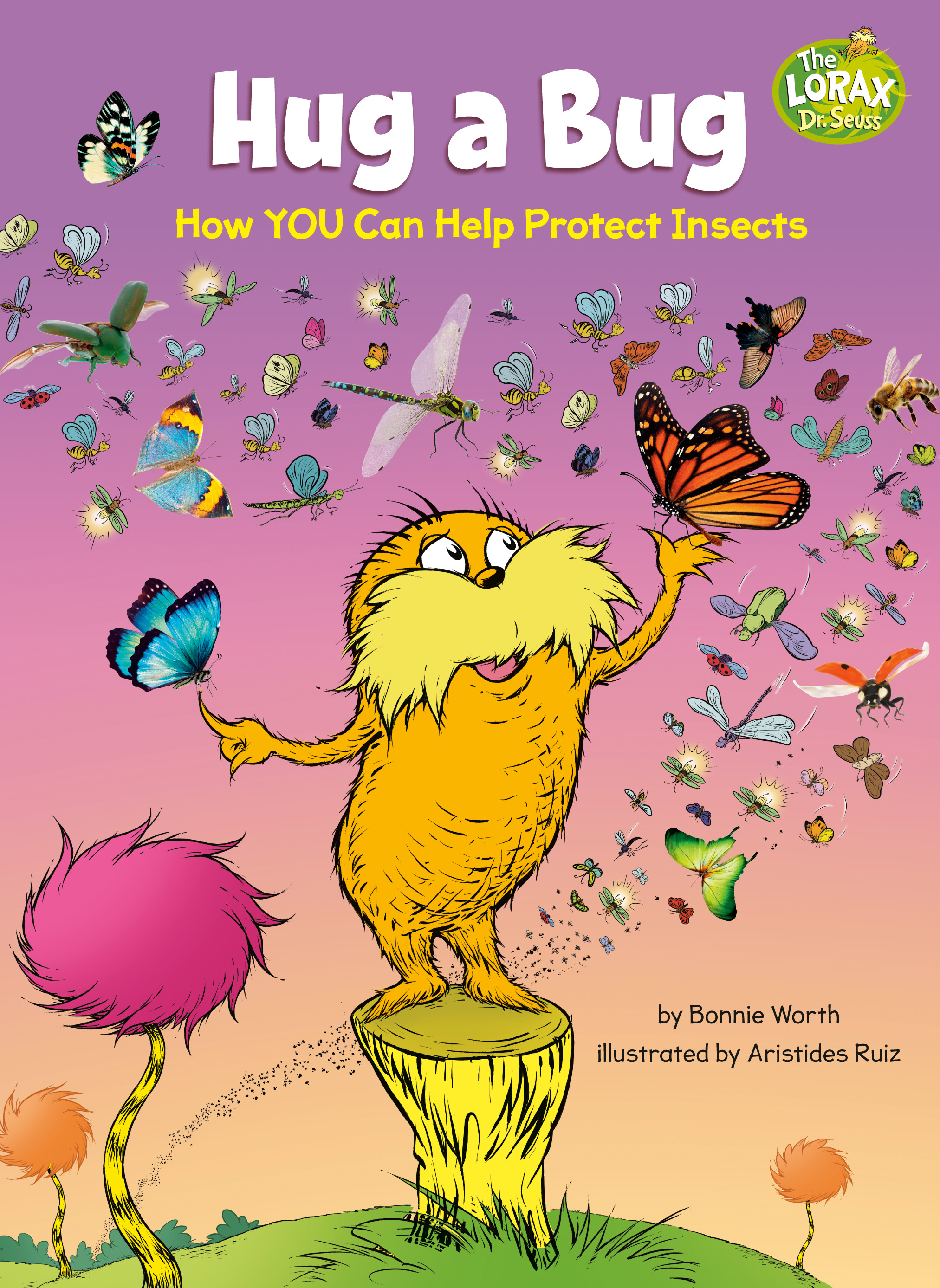 Hug a Bug : How YOU Can Help Protect Insects | Worth, Bonnie