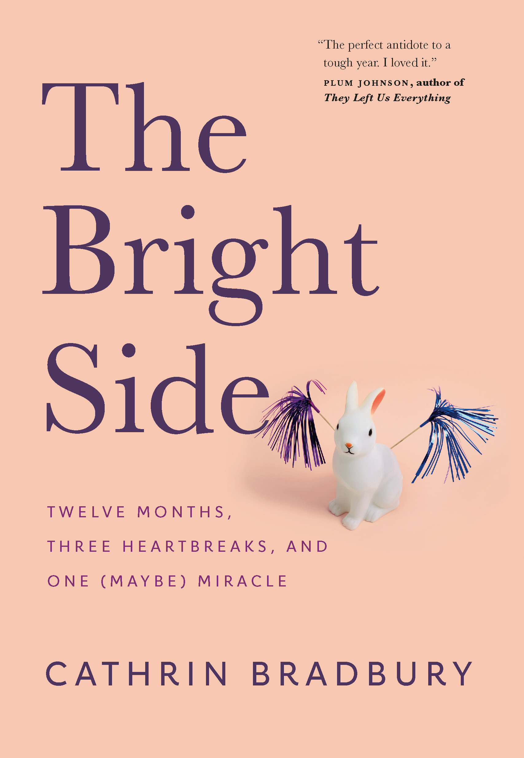 The Bright Side : Twelve Months, Three Heartbreaks, and One (Maybe) Miracle | Bradbury, Cathrin
