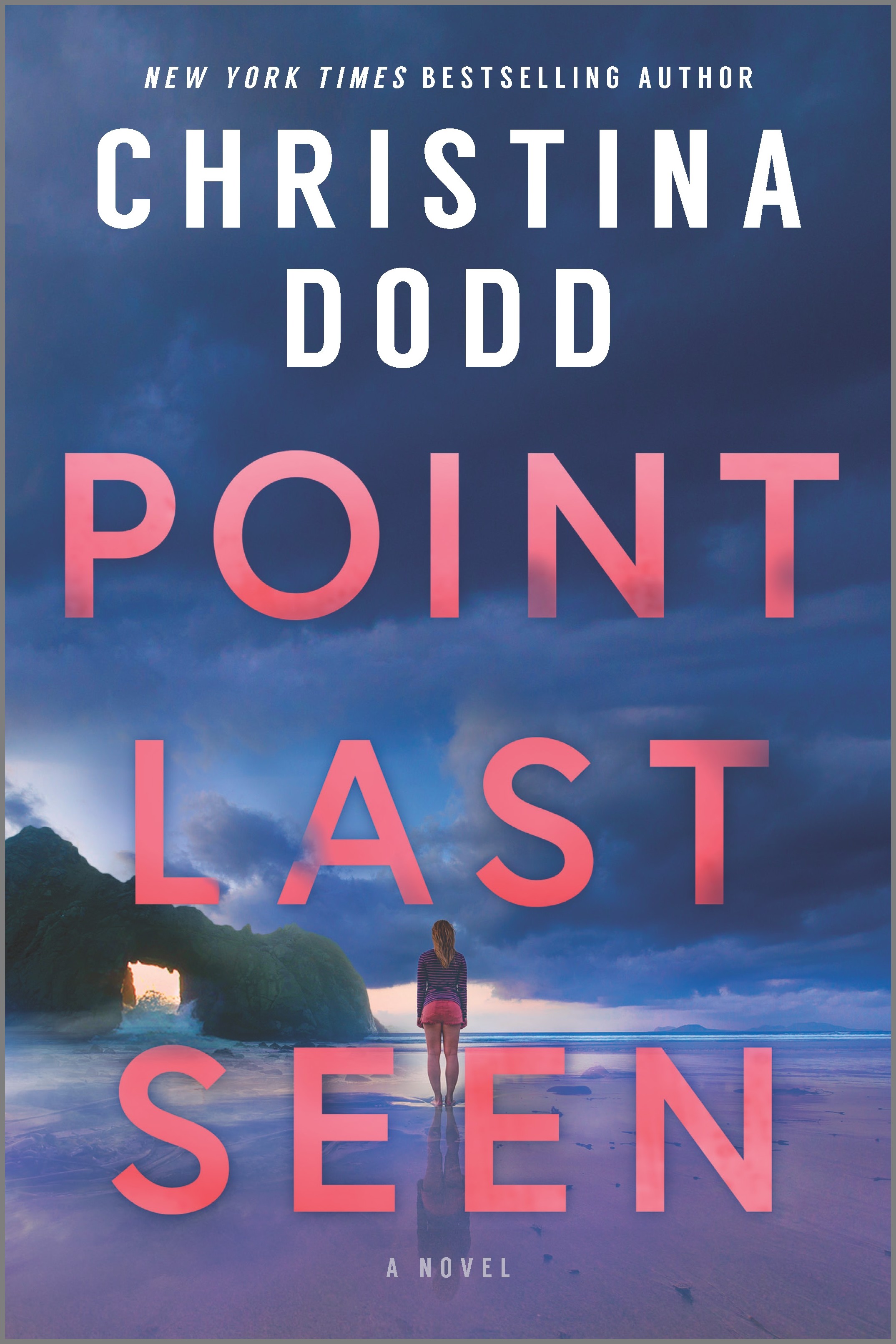 Point Last Seen : A Novel | Dodd, Christina