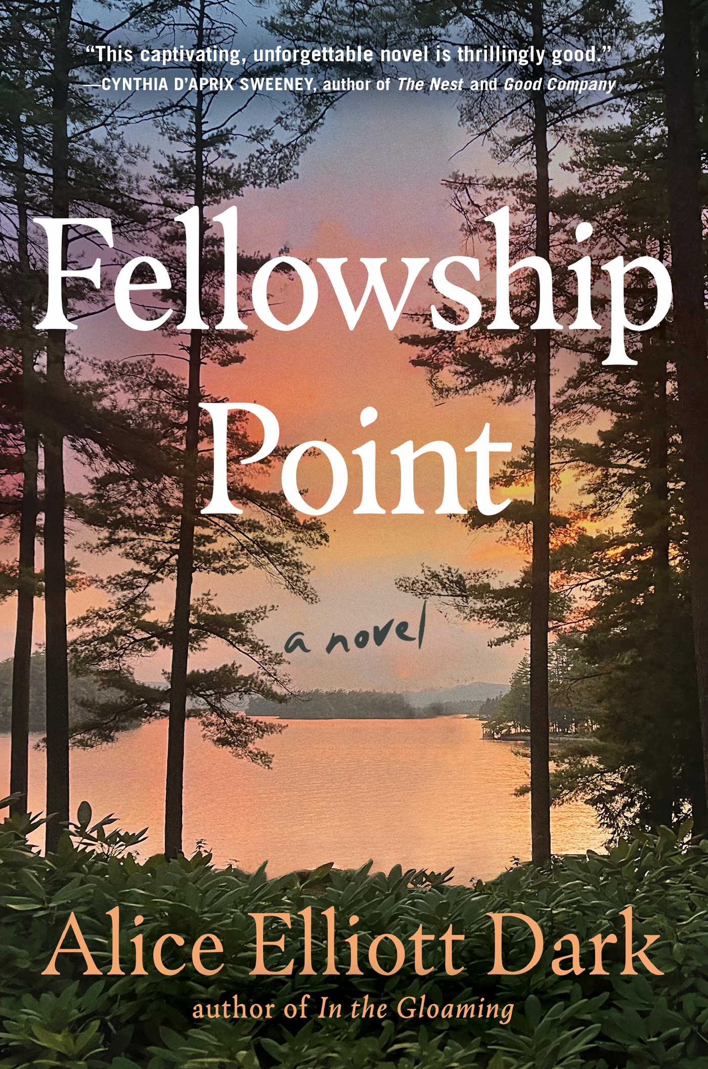 Fellowship Point : A Novel | Dark, Alice Elliott