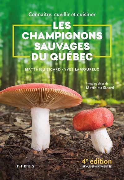 Connaître, cueillir et cuisiner les champignons sauvages du Québec | Sicard, Matthieu
