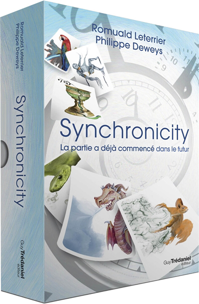 Synchronicity : la partie a déjà commencé dans le futur | Leterrier, Romuald