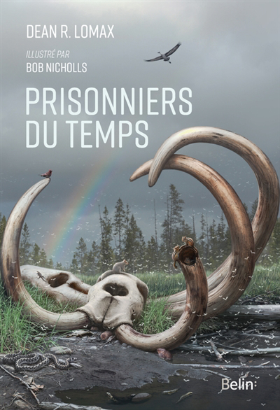 Prisonniers du temps | Lomax, Dean R.