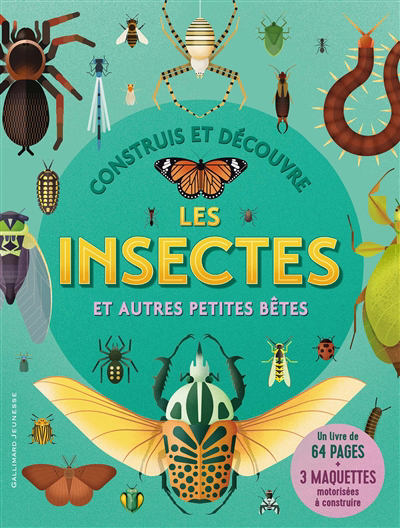 Construis et découvre les insectes : et autres petites bêtes | 