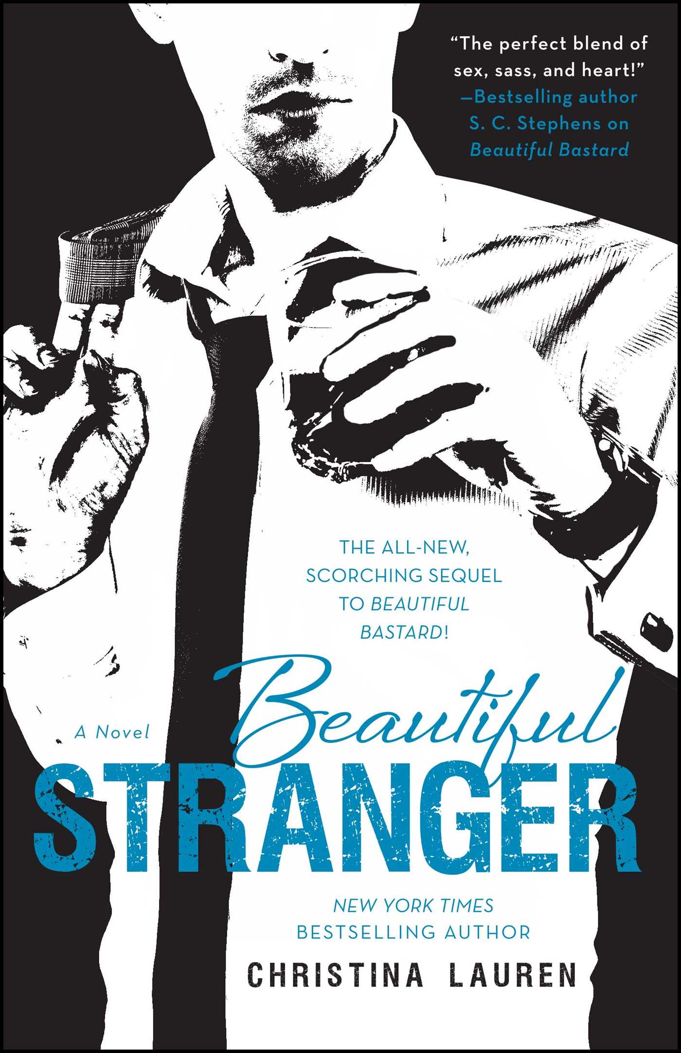 Beautiful Stranger : Beautiful Bastard vol.2 | Lauren, Christina