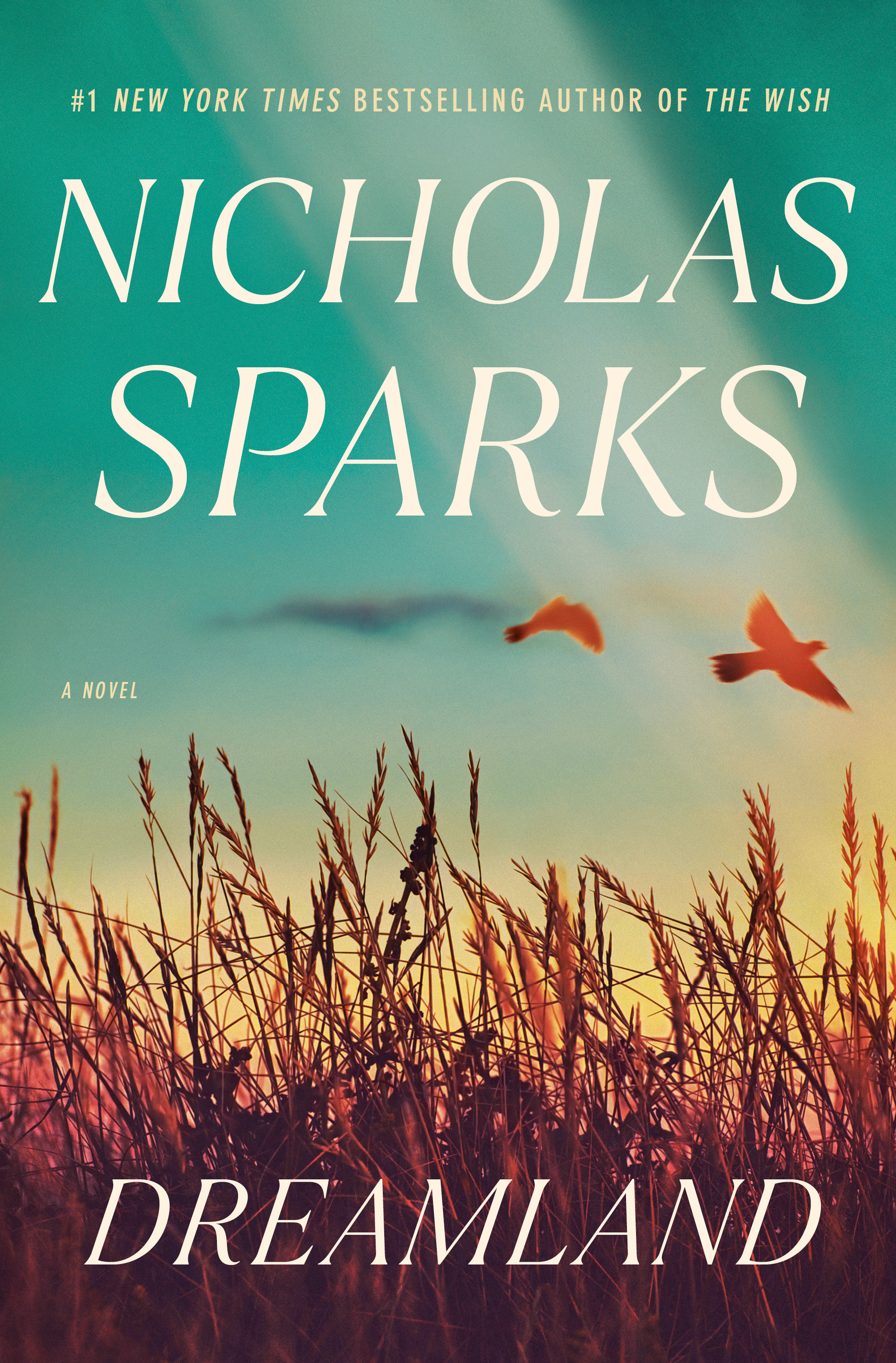 Dreamland : A Novel | Sparks, Nicholas