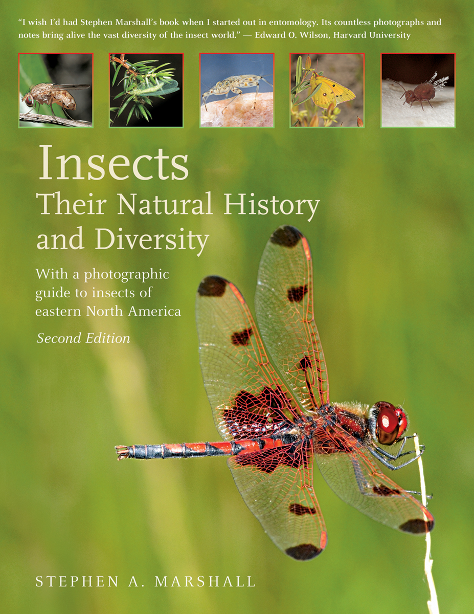 Insects: Their Natural History and Diversity : With a Photographic Guide to Insects of Eastern North America | Marshall, Stephen  A.