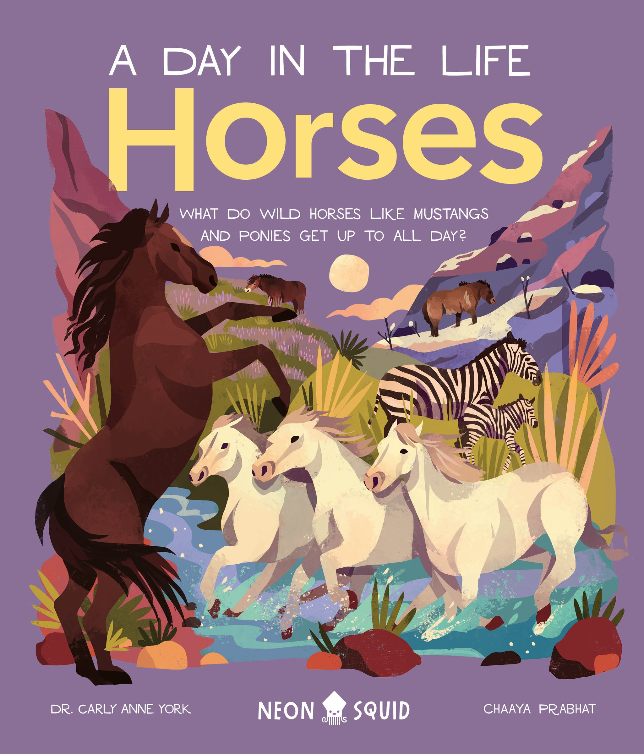 Horses (A Day in the Life) : What Do Wild Horses like Mustangs and Ponies Get Up To All Day? | York, Dr. Carly Anne