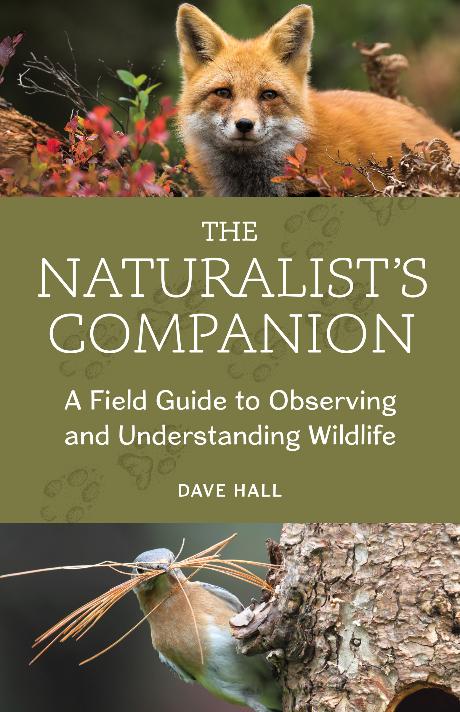 The Naturalist's Companion : A Field Guide to Observing and Understanding Wildlife | Hall, Dave