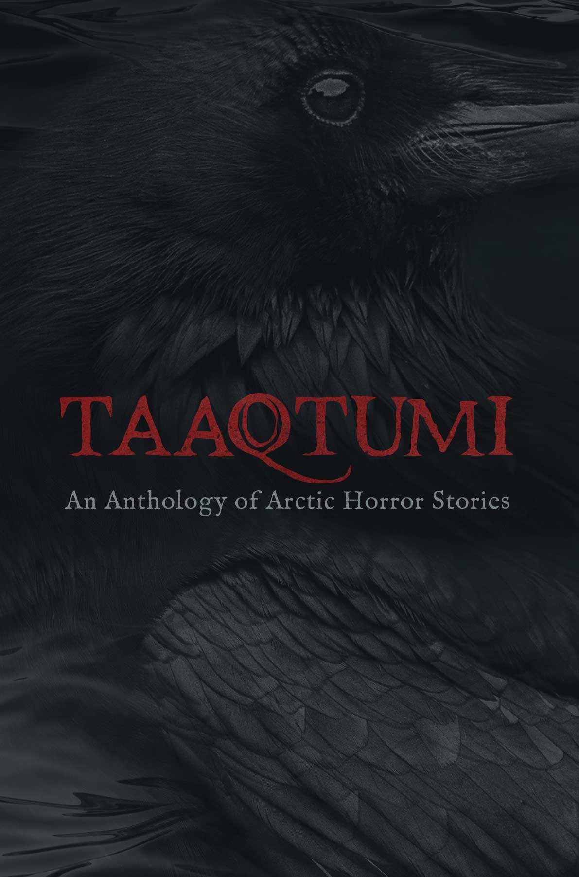 Taaqtumi : An Anthology of Arctic Horror Stories | Johnston, Aviaq