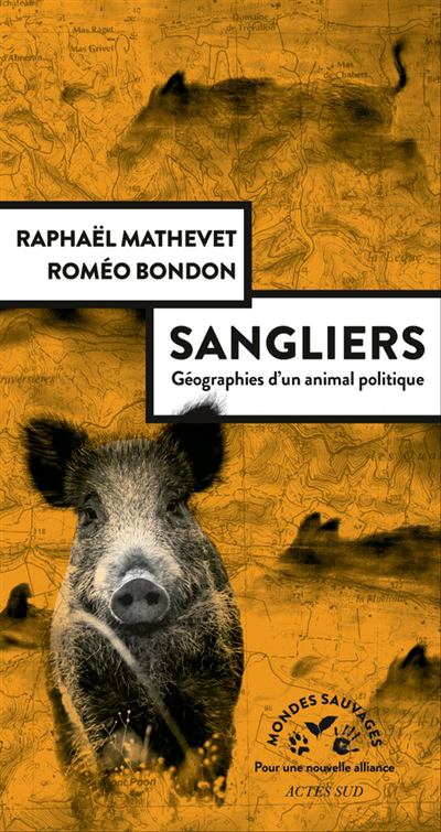 Sangliers : géographies d'un animal politique | Mathevet, Raphaël