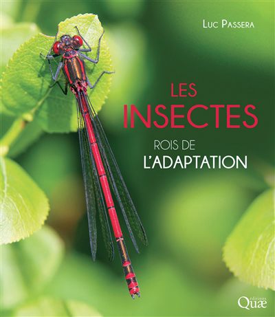 insectes : rois de l'adaptation (Les) | Passera, Luc