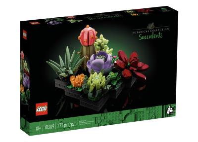 LEGO : Icons - Les succulentes CUEILLETTE EN MAGASIN SEULEMENT | LEGO®