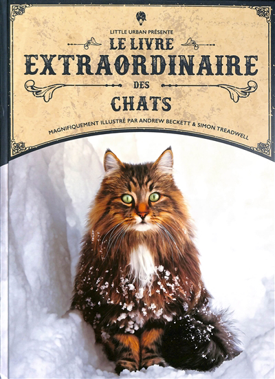 Livre extraordinaire des chats (Le) | Taylor, Barbara