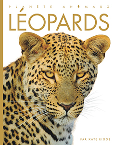Planète animaux - Léopards | Riggs, Kate