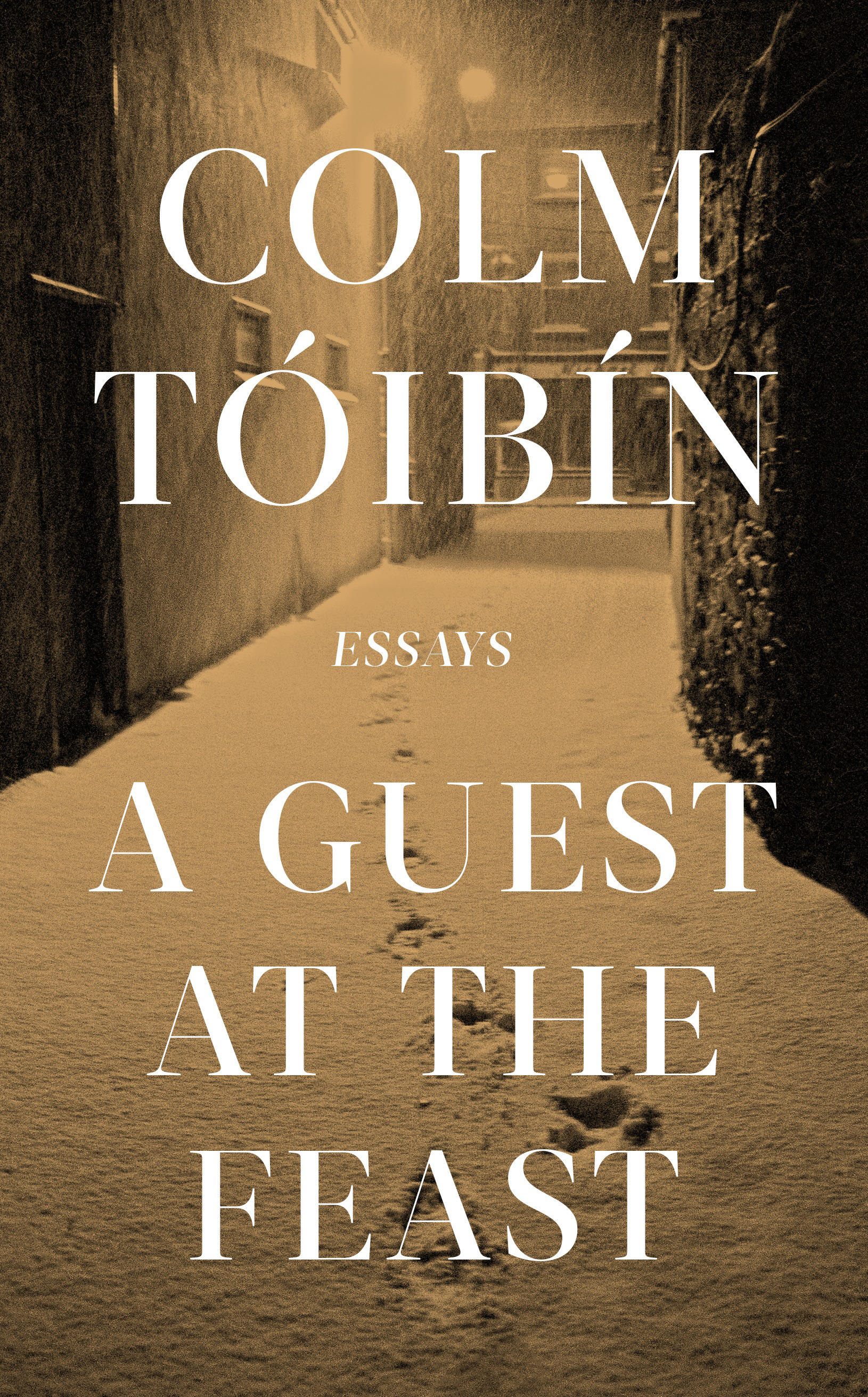 A Guest at the Feast : Essays | Toibin, Colm