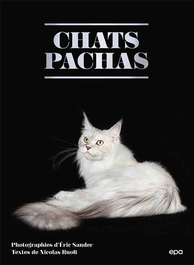 Chats pachas | Ruolt, Nicolas